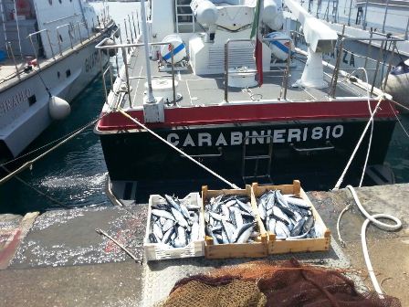 pesca: i carabinieri sequestrano 17 chilogrammi di tonno rosso
