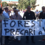 sicilia,via libera alla legge salva forestali