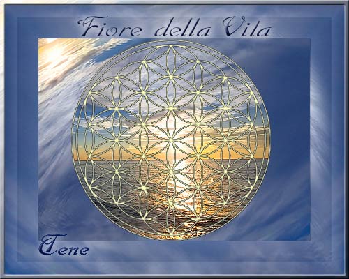 Leggi la NOTIZIA