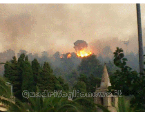 incendi distruggono parte della pineta. salvata dai rangers una baita