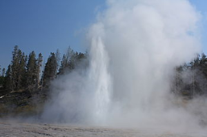 scoperto un geyser a floresta, in arrivo i tecnici dell’ingv! 